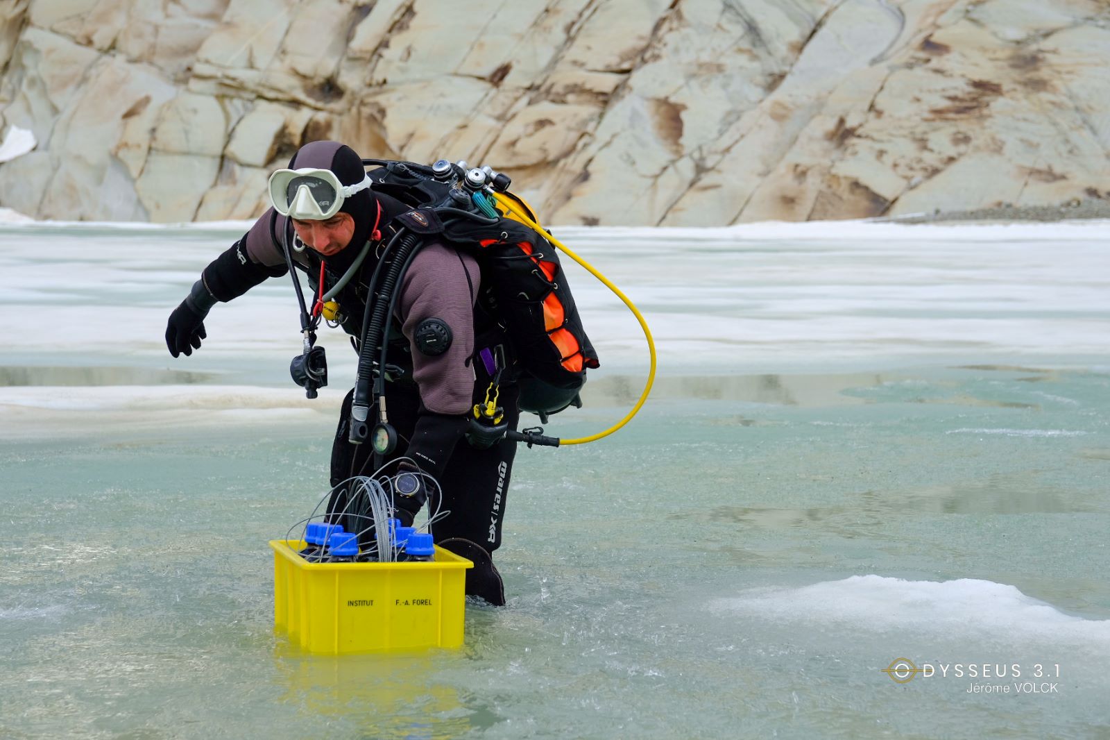 WhatsApp Image 2023-07-10 at 12.16.11