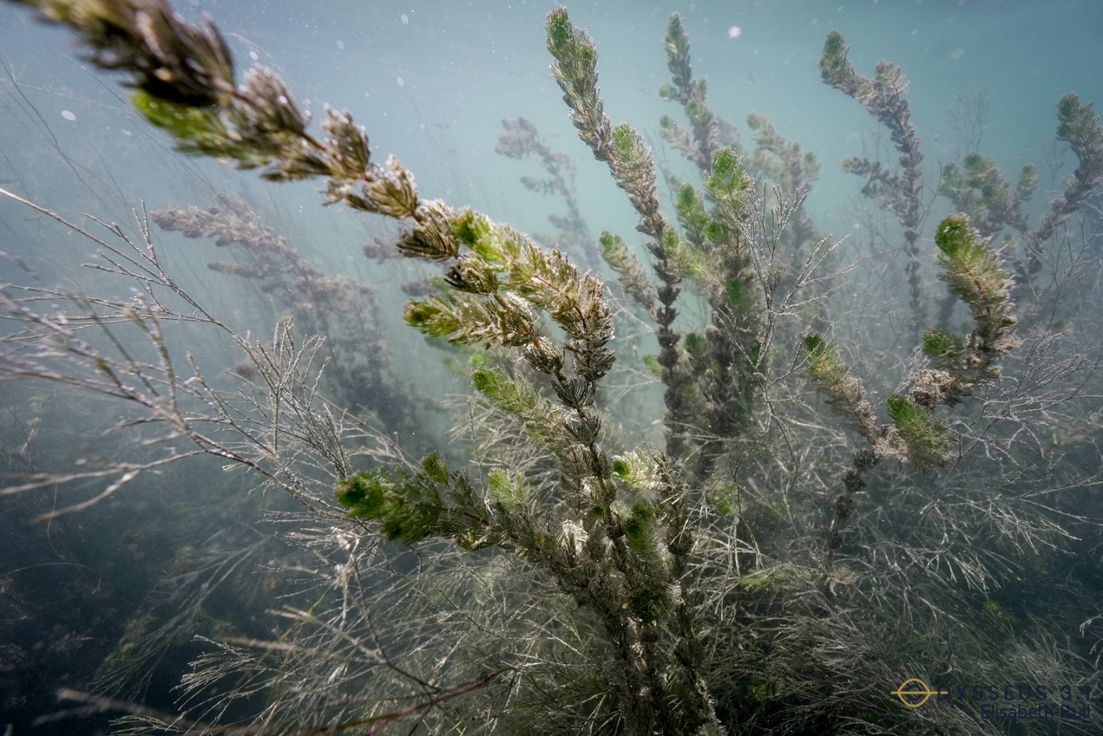 WhatsApp Image 2023-07-10 at 15.19.37